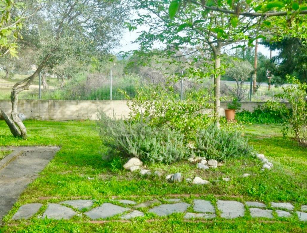 Studio Artemis Ormos Panagias Ngoại thất bức ảnh